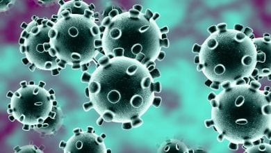 corona-virus-amravati-mandal