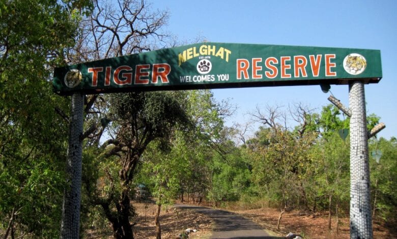 melghat-tiger-reserve-amravati-mandal