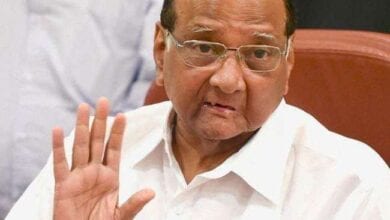 sharad pawar-amravati mandal