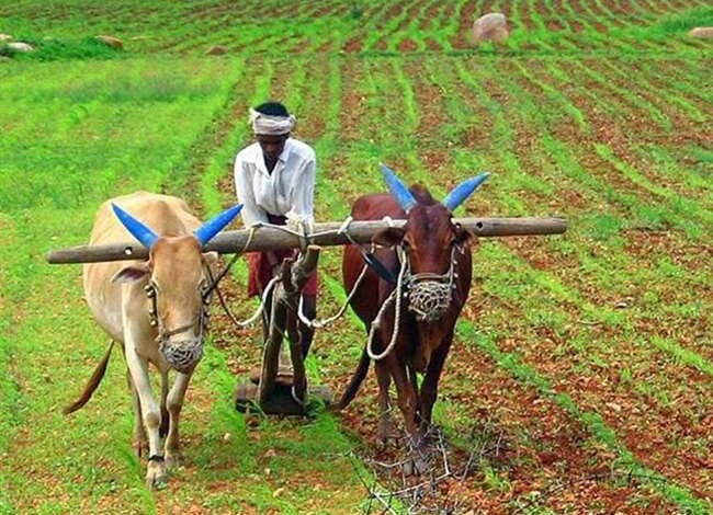 Do not deprive farmers of loans in the name of documents-amravati-mandal