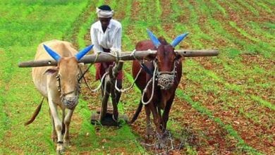 Do not deprive farmers of loans in the name of documents-amravati-mandal