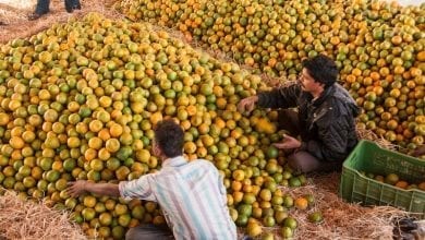 Nagpur_New_orange-amravti-mandal