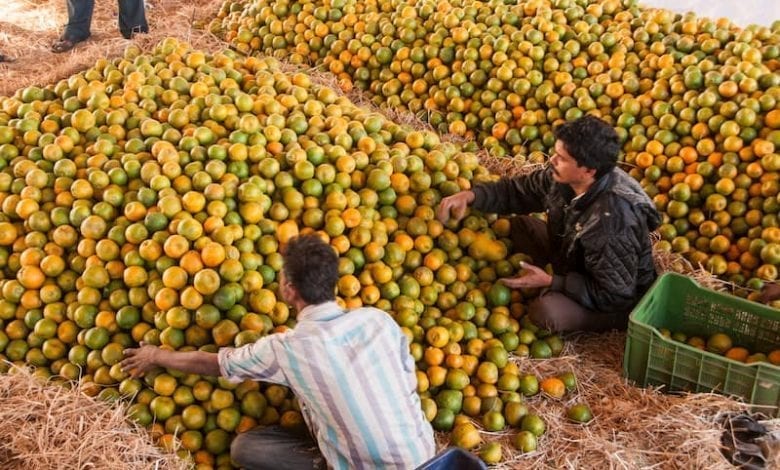 Nagpur_New_orange-amravti-mandal