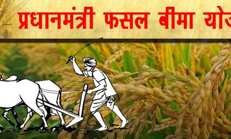 Pradhan-Mantri-Fasal-Bima-amravati-mandal