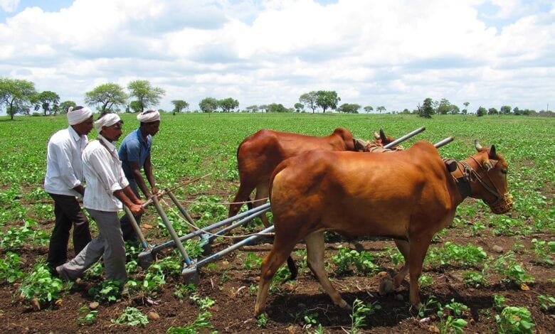 farmer-amravati-mandal