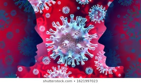 coronavirus-amravati-mandal