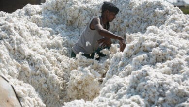cotton-market-amravati-mandal