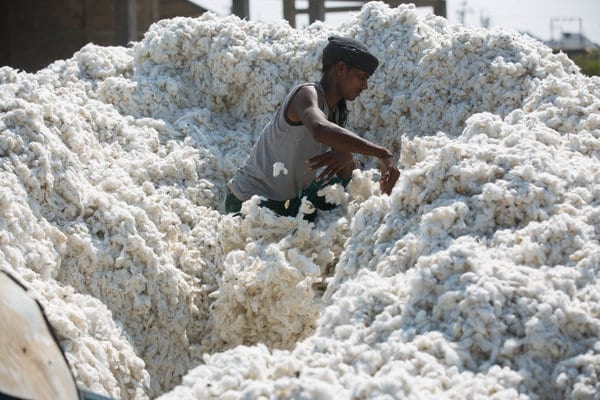 cotton-market-amravati-mandal