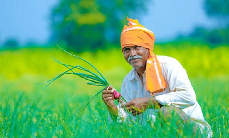 indian-farmer-amravati-mandal