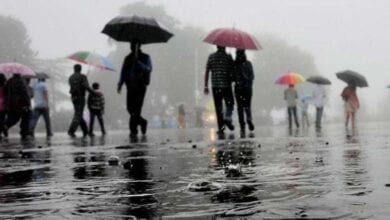 monsoon-amravati mandal
