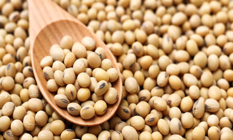 soyabean-amravati-mandal