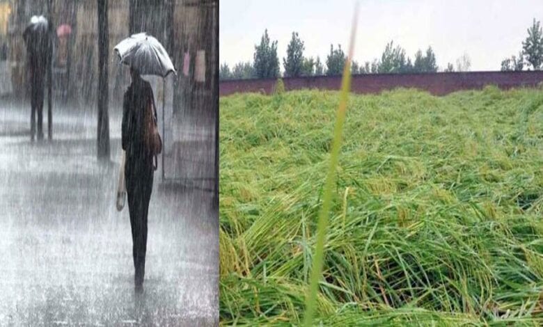 rain-instead-of-gain-amravati-mandal