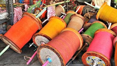 Chinese-Manja-amravati-mandal