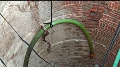 Cobra-amravati-mandal