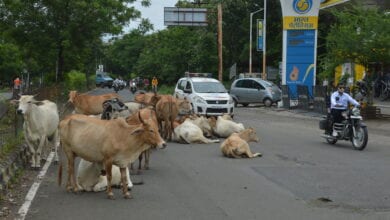 amravati-mandal
