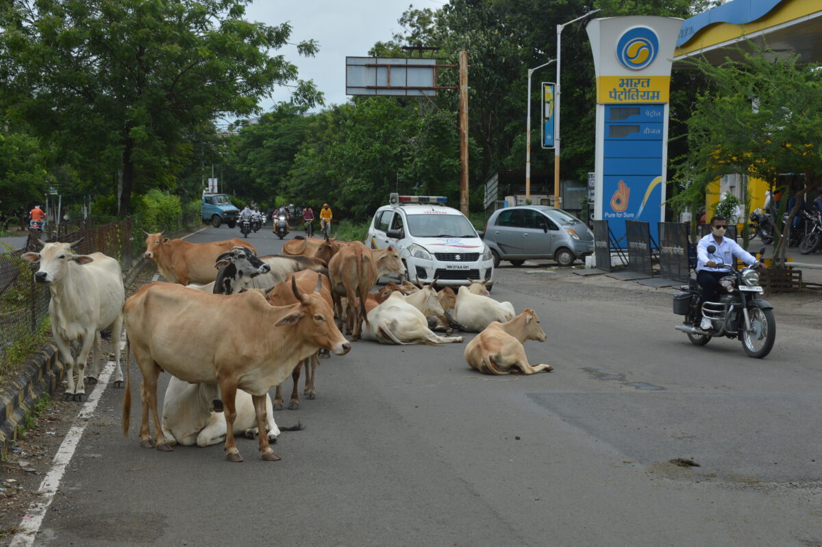 amravati-mandal