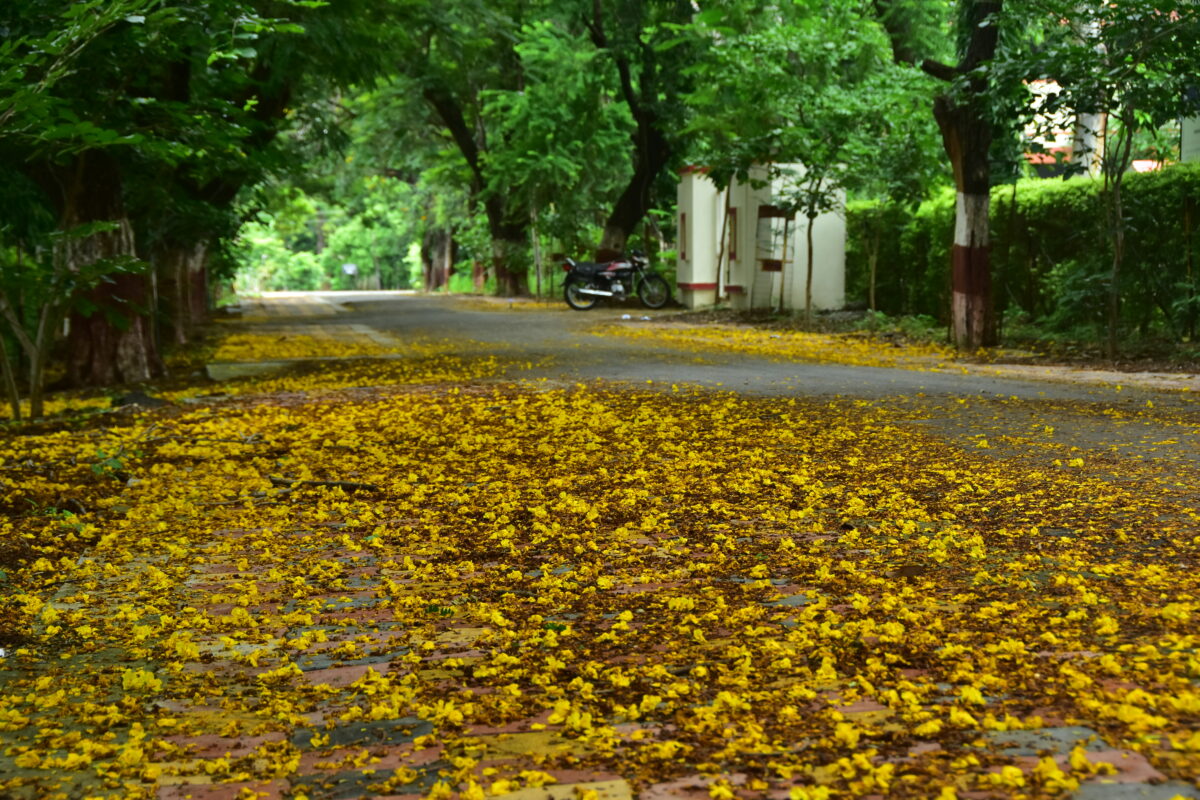 akshay-nagapure-amravati-mandal