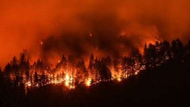 Forest-fire-amravati-mandal