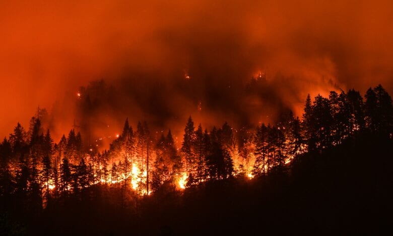 Forest-fire-amravati-mandal