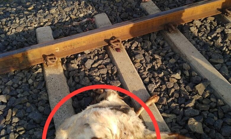 train-accident-amravati-mandal