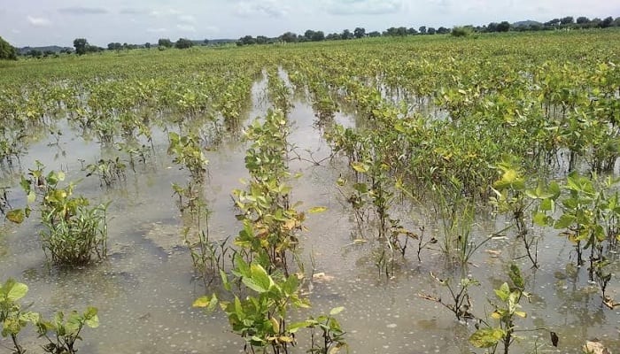 Narsifata-amravati-mandal