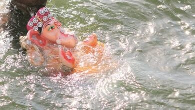 artificial-talao-amravati-mandal