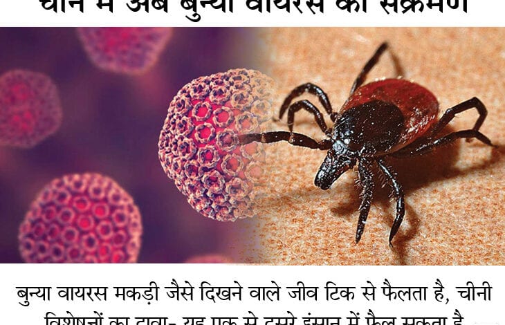bunya-virus-amravati-mandal