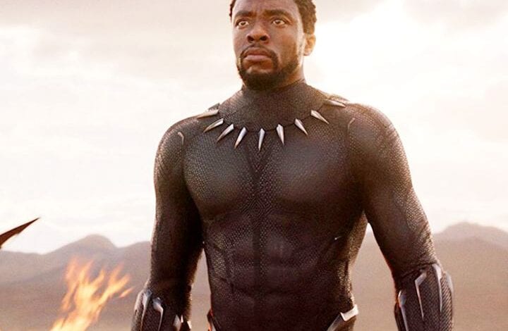 Chadwick-Boseman-amravati-mandal