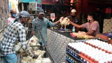 chicken-shops-amravati-mandal