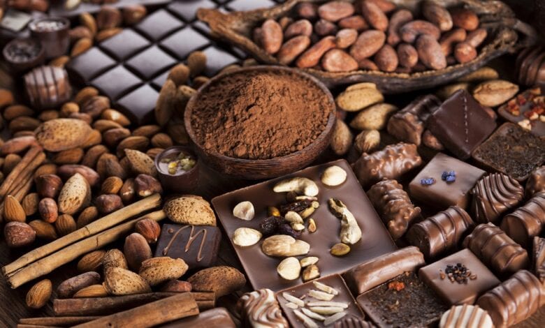 chocolate-industry-amravati-mandal