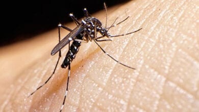 Dengue-disease-death-amravati-mandal