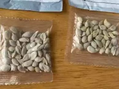 fraud-seeds-amravati-mandal