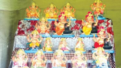 ganapati-aagman-amravati-mandal