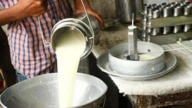 milk_dairy-amravati-mandal