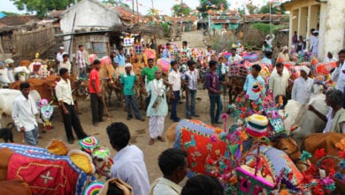 pola-festival-amravati-mandal