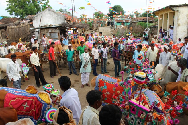pola-festival-amravati-mandal