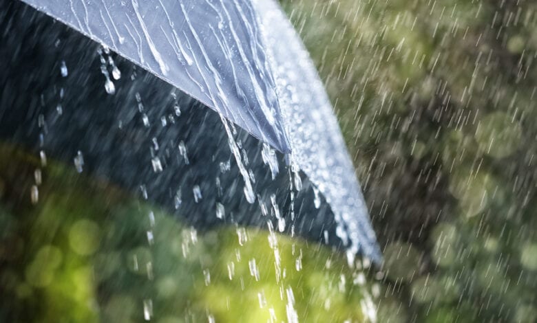 Rain-amravati-mandal