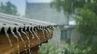rain-amravati-mandal