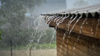 in-august-the-rains-broke-a-44-year-record-amravati-mandal