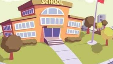 school-colleges-closed-amravati-mandal