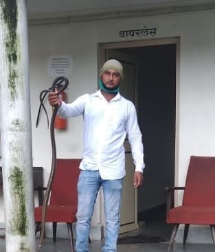 snake-ramgiri-amravati-mandal
