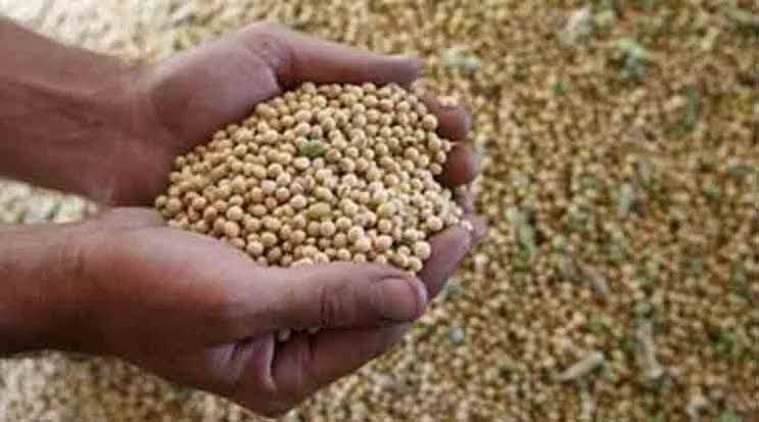 soybean-seeds-fail-amravati-mandal