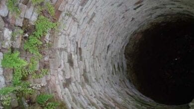 jumping-into-the-well-of-a-mother-including-a-three-year-old-child-amravati-mandal