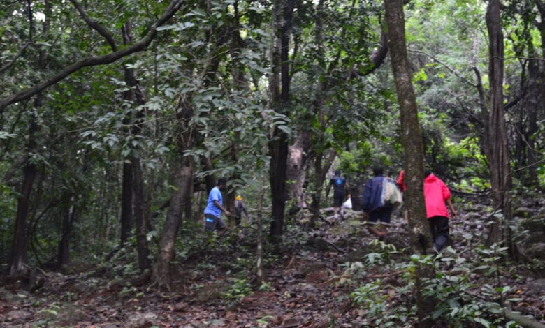 husband-murdered-his-wife-in-the-forest-of-ranigaon-amravati-mandal