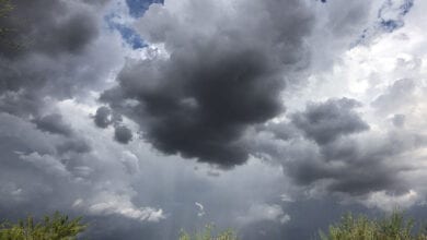 Monsoon-am,ravati-mandal