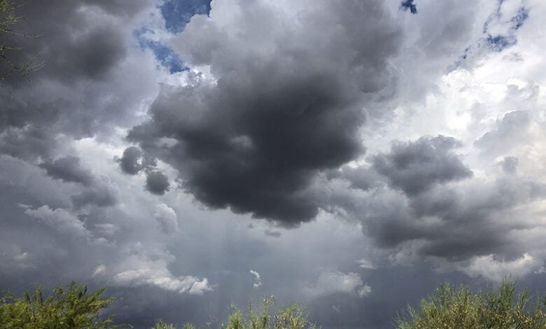 Monsoon-am,ravati-mandal