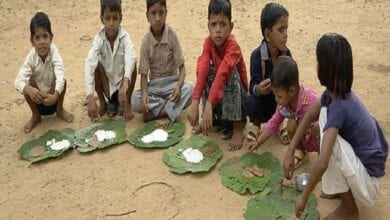 Waste-of-grain-amravati-mandal