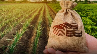 crop-loan-amravati-mandal
