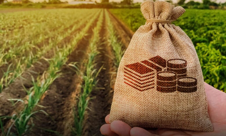 crop-loan-amravati-mandal