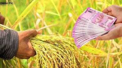 Crop-Loan-amravati-mandal